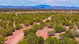 TBD Unit 323, Ash Fork, AZ 86320