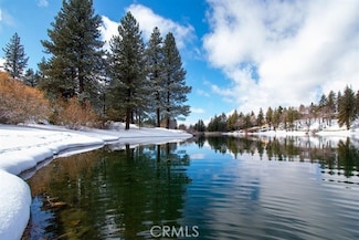 33544 Green Valley Lake Rd, Green Valley Lake, CA 92341