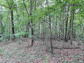 7 Bear Creek Trail, Fort Payne, AL 35967
