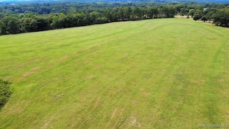 Lot 2 County Road 70, Ariton, AL 36311
