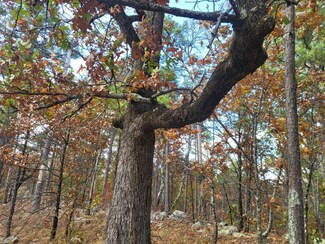 Lot 53 Boktuklo Mountain, Honobia, OK 74957
