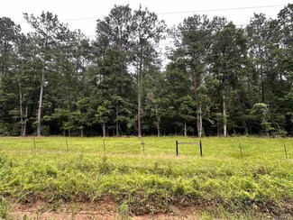 Lot 3-B S Frost Rd, Livingston, LA 70754
