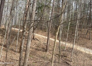 0 New Providence Rd Unit 1292758, Tellico Plains, TN 37385