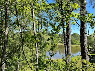 134 Springwood Dr, Aiken, SC 29803