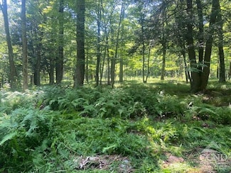 0 Terrace Dr Unit 153862, Lexington, NY 12468