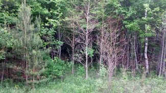 PCL 18 Nichols Rd, Blue Lake Township, MI 49425