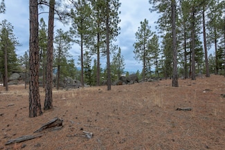 TBD Leaning Tree Ln, Clancy, MT 59634