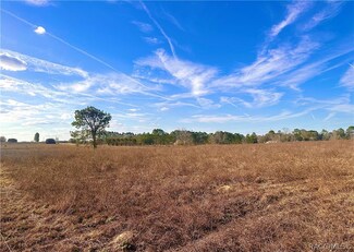0 SE 68th Ln Unit 821096, Morriston, FL 32668