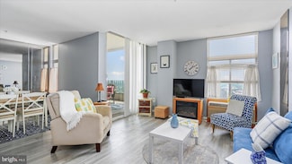 28 Allegheny Ave Unit 2505, Towson, MD 21204
