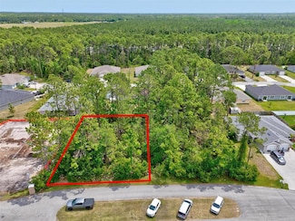 14 Union Run Ct, Palm Coast, FL 32164