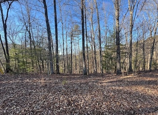 0 Rebekah Ridge Lot 1710 Unit 7636245, Talking Rock, GA 30175