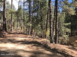 4100 E Blue John Ln, Prescott, AZ 86303