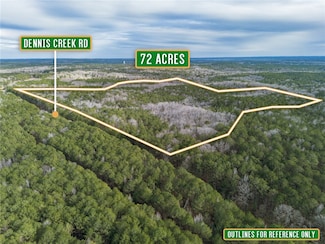0 Dennis Creek Rd, Other, GA 00000