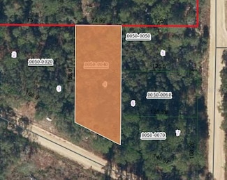 0 Xx Terrel St, Interlachen, FL 32148