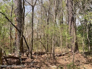 8 Lots Maplewood Lane Extension, Alexander City, AL 35010