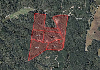 0 Cox Hollow Rd, Dover, TN 37058