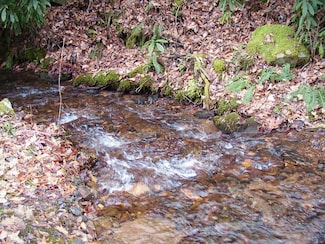00 Wedgewood Cove Rd, Sylva, NC 28779