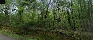 0 Old Uneedus Rd, Loranger, LA 70446