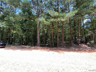 Lot 23 Ann Marie Dr, Lake View, AL 35111