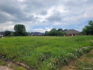 1957 Berry Chase Place, Montgomery, AL 36117