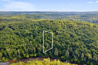 0 Flat Ridge Rd Unit 10490565, Ellijay, GA 30540