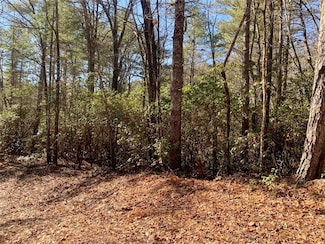 Lot 18 Oak Ridge Dr, Brevard, NC 28712
