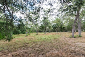 TBD Grape Cir - 1 Acre, Somerville, TX 77879