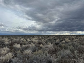 0 Lost Forest Ln Unit TL~5601 220176595, Christmas Valley, OR 97641