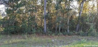 TBD SE 50th St, Keystone Heights, FL 32656