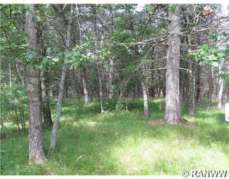 Lot 6 Logan Ln, Adams, WI 54754