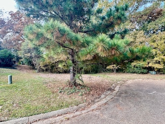 0 Ashton Place Unit 4132186, Clinton, MS 39056