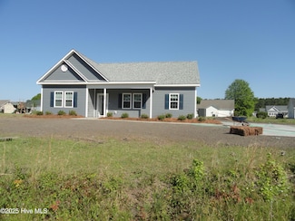 137 Phillip Mills Dr, Teachey, NC 28464