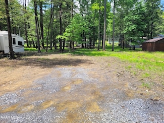 P413 Laurel Ln, Flinton, PA 16640