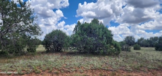 262 Noseeum Rd, Williams, AZ 86320
