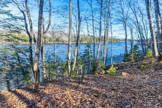 Lot10-1 Scotts Hill Randall Loop, East MacHias, ME 04630