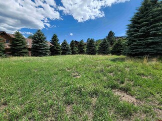 Lot 3 Buck Ct, South Fork, CO 81154