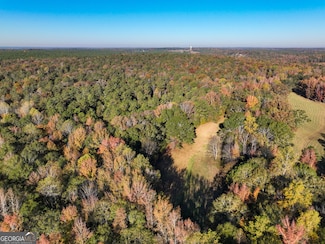 56 Ivey Cir, Forsyth, GA 31029