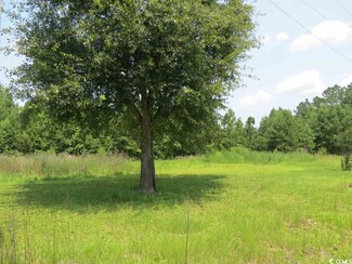 286 Dennis Dr Unit Pleasant Hill sectio, Hemingway, SC 29554