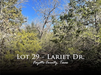 0 Lariet Dr, Cistern, TX 78959