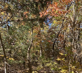 TBD Pinecrest Rd, Hardy, AR 72542