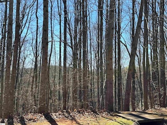 317 Laurel Valley Way, Travelers Rest, SC 29690