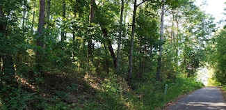 0 Treeline Dr Unit 1510685, Dunlap, TN 37327