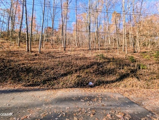 Lot 1273 Raymond Hollow Rd, Sevierville, TN 37876