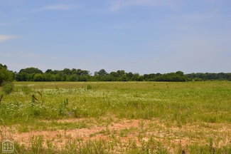 40 Acres, Fisher, AR 72429