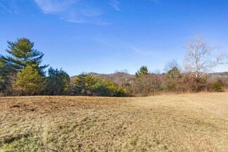 1351 Trail Hollow Rd, Allisonia, VA 24347