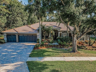 4962 Turtle Creek Trail, Oldsmar, FL 34677