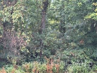 0 Bond Rd Unit 1856079, Harrison, OH 45030