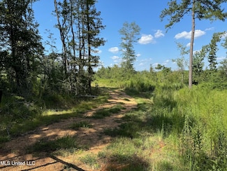 816b Denton Trail NW, Brookhaven, MS 39601