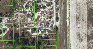 619 Cr-619, Lake Placid, FL 33852