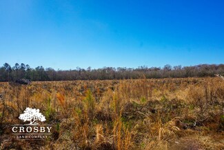 64 Bells Hwy, Lodge, SC 29082